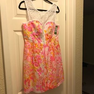 NWT Lilly Pulitzer Raegan Dress in Happiness Is